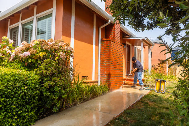 Best Roof Pressure Washing  in Delphos, OH